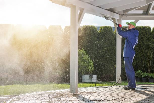 Best Spring Cleaning  in Bloomfield, NY